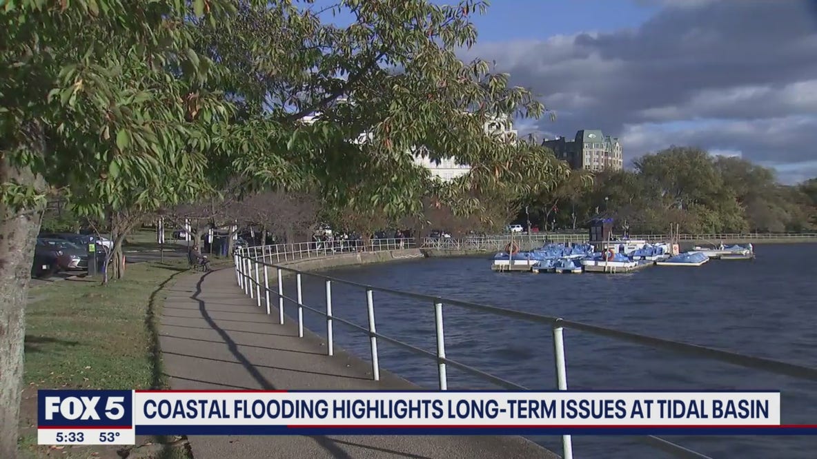 Coastal flooding highlights long-term issues at Tidal Basin